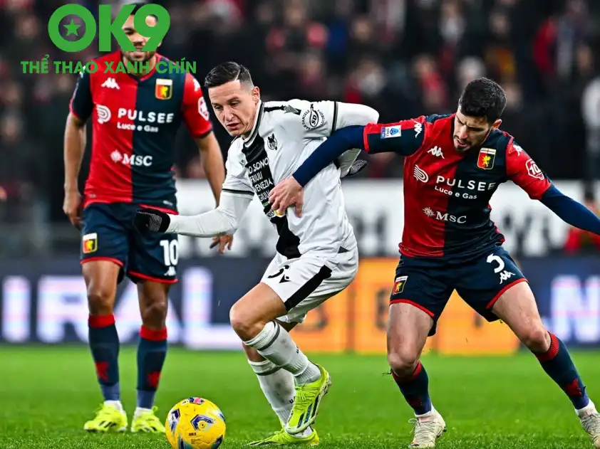 genoa 204506